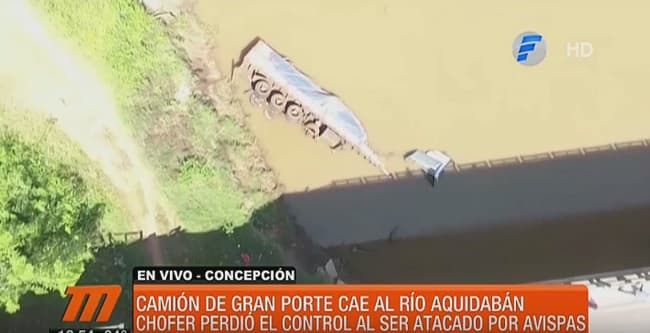 Camionero cae a río a causa de ataque de enjambre