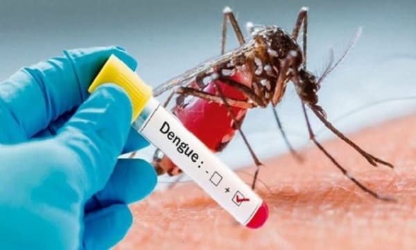 Salud emite alerta ante aumento de casos de Dengue