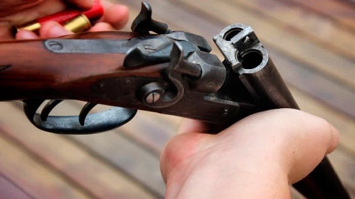 Brasileño es imputado por matar violentamente a su perro