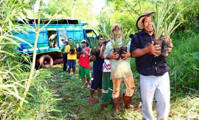 Impulsarán proyectos productivos con familias indígenas para evitar desarraigo