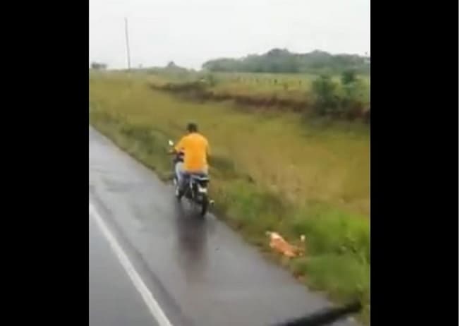 Imputan a motociclista por arrastrar a un perro en Misiones