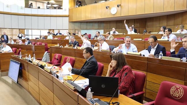 Senado rechaza veto a ley de anulación de facturas de servicios públicos