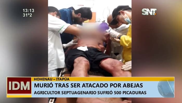 Agricultor muere víctima de ataque de abejas