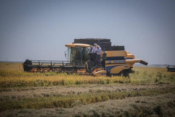 Habrá producción récord de arroz, soja y sésamo, anuncia Abdo Benítez