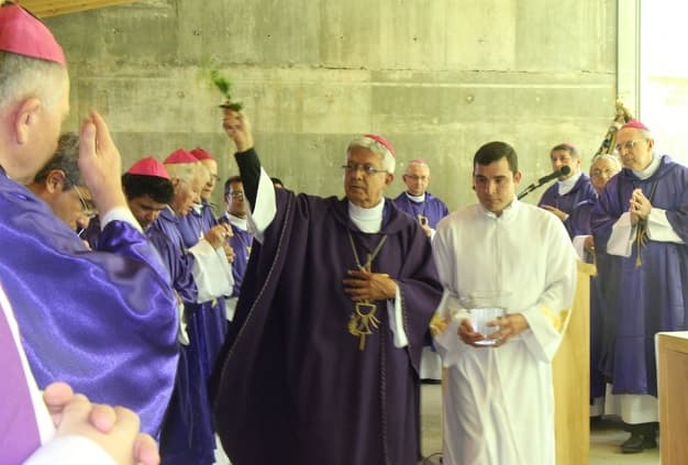 Misas con saludo de la paz sin contacto físico a causa del coronavirus