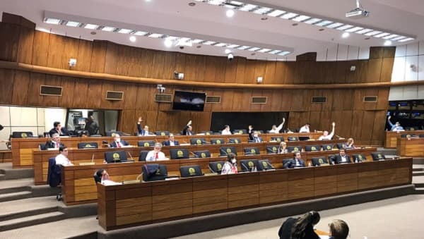 Impulsan pedidos de pérdida de investidura para varios senadores