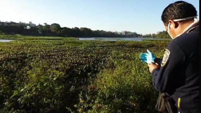 Hallan cadáver de un hombre en el Lago de la República