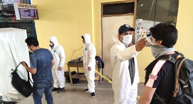 Estudiantes usan eucalipto para “destruir” el coronavirus
