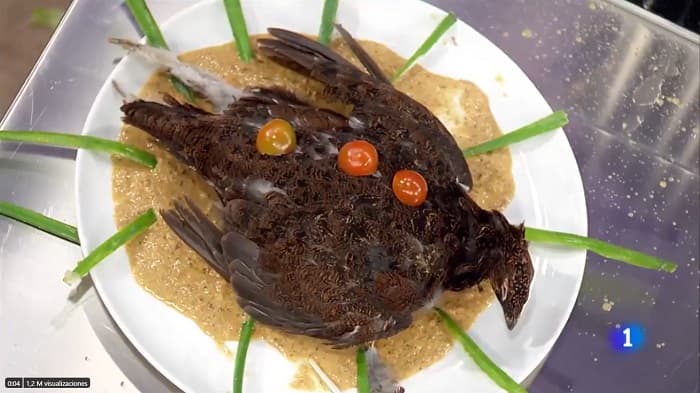 Participante presenta un pájaro muerto como plato en MasterChef