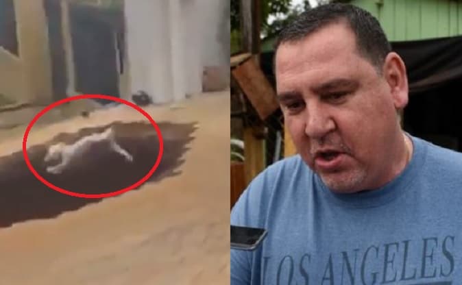 Perrito se roba el protagonismo en “pedido” de informe