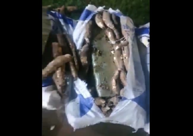 Incautan una tonelada de marihuana en bolsas de mandioca