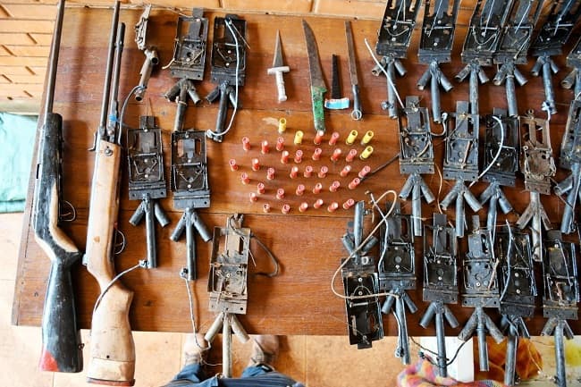 Cazadores matan un puma en reserva de Itaipu