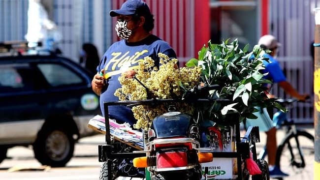En Bolivia enfrentan la pandemia con eucalipto, jengibre, limón y manzanilla