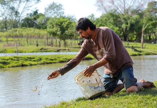 Familia participante de Tekoporã monta exitoso emprendimiento piscícola