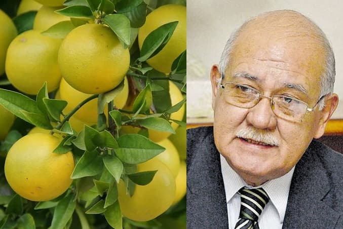 Juez no se acordaba del caso de los pomelos y ahora busca aclarar