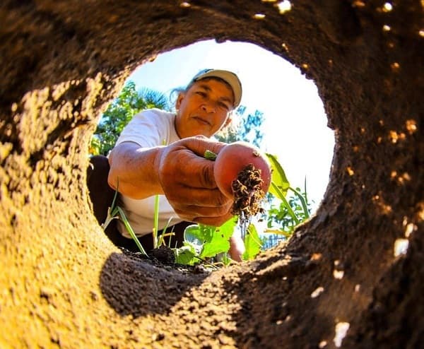 Lanzan programa que impulsa el autoconsumo y emprendimientos en asentamientos
