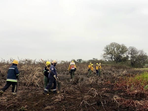 Abdo Benítez pedirá intervención de fiscales en incendios provocados