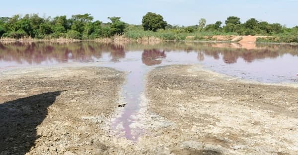 Mades suspende actividades de empresa por contaminación de laguna