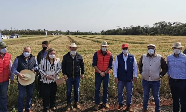 Con inversión, impulsan campaña de rubros de pequeños productores