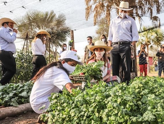 Programa beneficiará a unas 5.500 familias vulnerables