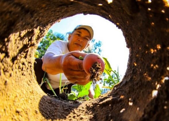 Apuestan a la producción rural con tecnología y mayor asistencia