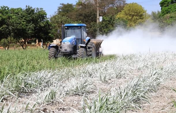 Bloomberg asegura que Paraguay es el “ganador económico de las Américas”