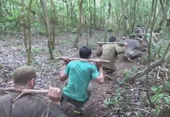 Niños indígenas forman parte de secuestradores, aseguran