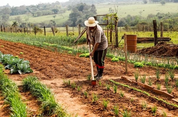 Proyecto de fortalecimiento de huertas beneficiará a 1.378 familias