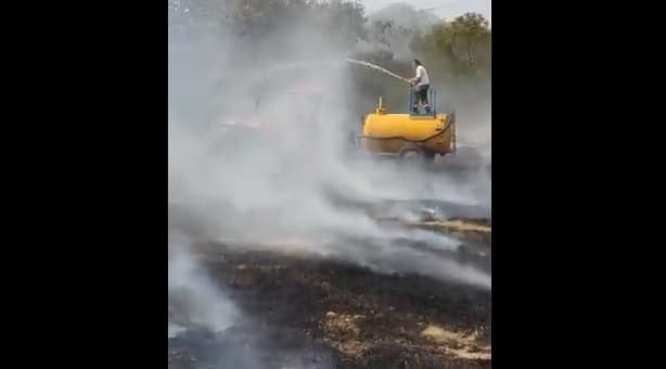 Bomberos controlan principio de incendio en el Botánico