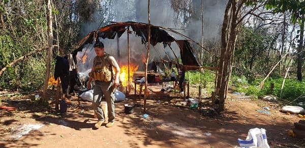 Incautan más de ocho toneladas de marihuana en Caaguazú