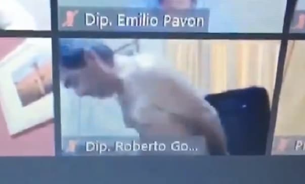 El colmo: Diputado sesiona desnudo