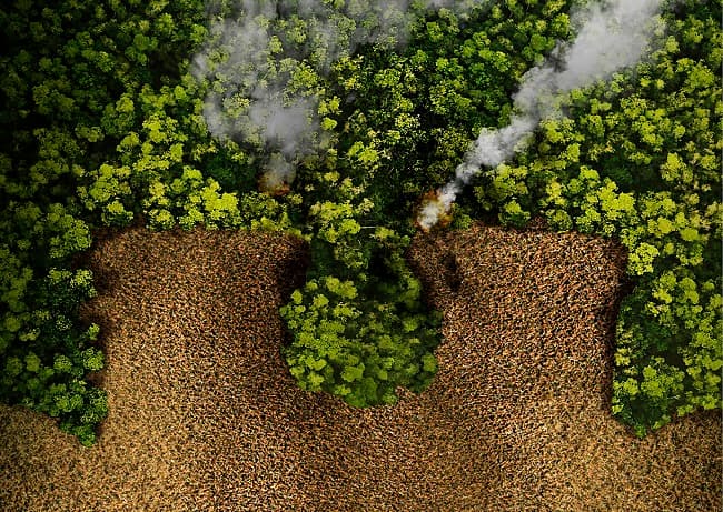 Lanzan campaña para impulsar extensión de la ley de deforestación cero