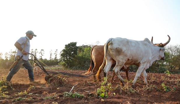 Apuesta a la producción busca impacto positivo en la economía
