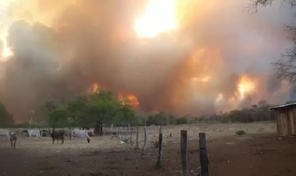 Incendios dejan dos fallecidos