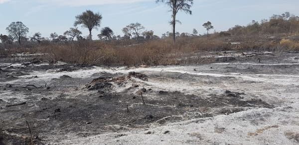 En 26 años, un tercio del país fue arrasado por incendios