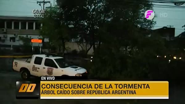 Árbol caído bloquea tránsito sobre la avenida República Argentina