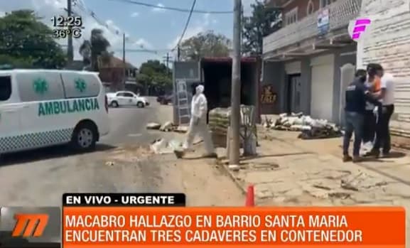 Hallan tres cadáveres en contenedor venido de Serbia