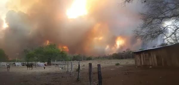 Inhalación de humo puede complicar cuadros de Covid-19, advierten