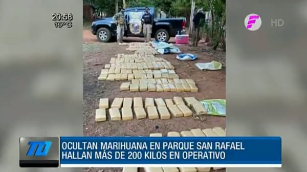 Incautan más de 200 kilos de marihuana en Reserva San Rafael