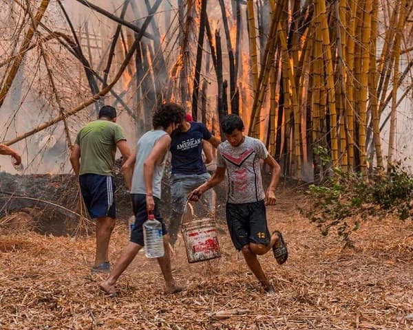 Sancionan ley para combatir incendios con ayuda internacional