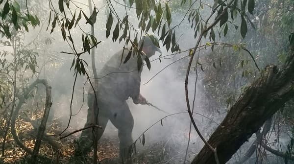 Logran controlar incendio en el Parque Nacional de Ybycuí