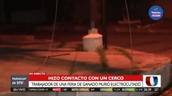 Hombre muere electrocutado tratando de salvar a un caballo