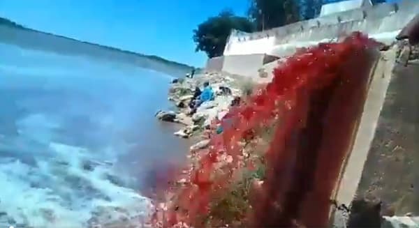 Mades suspende actividades del Frigorífico Concepción