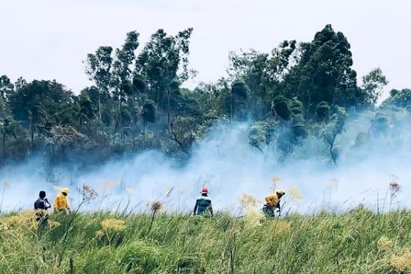 Reportan incendios de grandes proporciones en el sur