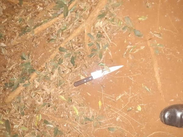 Joven es asesinado tras una ronda de tragos en Minga Guazú