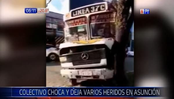 Bus impacta contra un árbol y deja varios heridos
