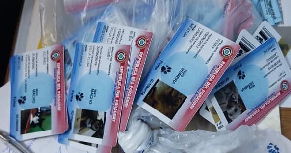 Policía incauta “cédulas” de mascotas y genera reacción en redes