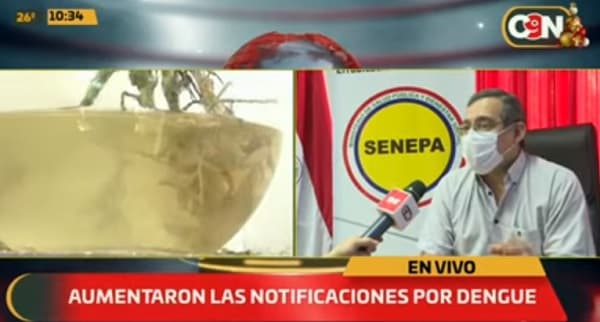 Lluvias y calor provocan invasión de mosquitos e insisten en eliminar criaderos