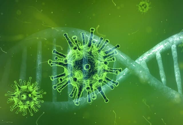 Variante del Covid-19 es más contagiosa, afirma bióloga paraguaya