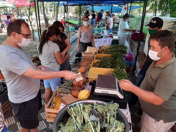 Invitan a feria agroecológica en la Plaza Italia